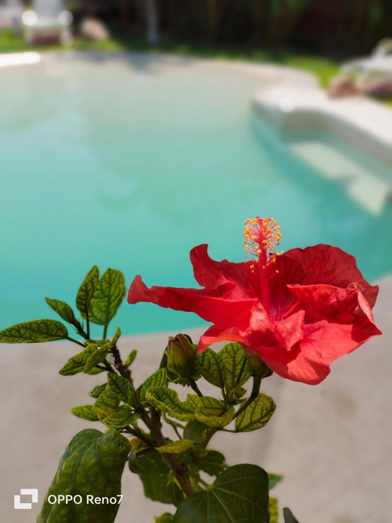 Teki-Sha Home&Suites Bacalar Exterior photo